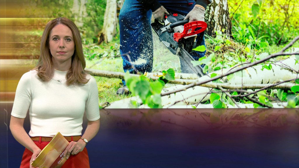 Foto: Julia Lehmann im Studio